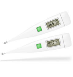 Thermometer vector image