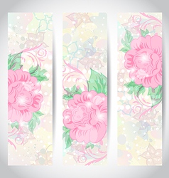 Set romantic beautiful cards with flower vector image