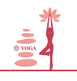 Yoga and pilates background vector image