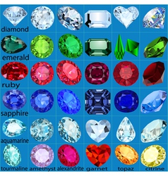 Set of precious stones of different cuts and color vector image