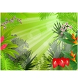 Tropical forest background vector image