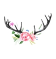 Deer horns with watercolor flowers vector image