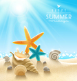 Summer holidays vector image