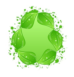 Green eco leaves label isolated on white vector image