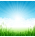 Landscape vector image