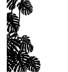 Tropical leaf background vector image
