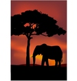 African Sunset background with elephant vector image