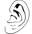 Human ear vector image