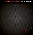 Carbon fibre background vector image