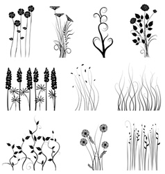 Set of plant vector image
