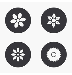 Modern flower icons set Modern flower icons set vector image