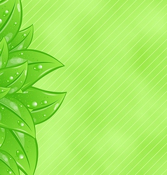Ecology background with eco green leaves vector image