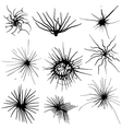 Ink drawn shapes vector image