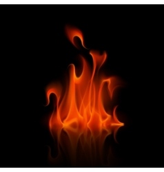 Green magic fire flame bonfire Royalty Free Vector Image