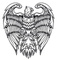 Powerful eagle or griffin vector image