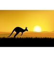 Kangaroo with sunset background vector image