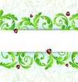 Eco friendly background with ladybugs vector image
