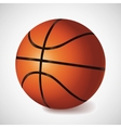 Basket ball vector image