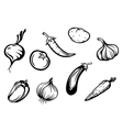Set of fresh vegetables vector image