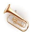 Classical Baritone horn Euphonium tuba vector image