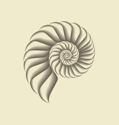 Shell vector image