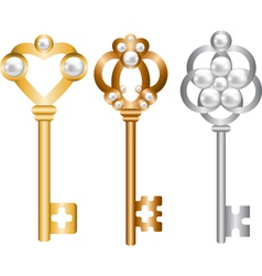 Antique metal skeleton keys set vector image