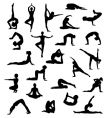 Yoga poses vector image