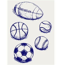 Balls for sports vector image