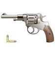Pistol Pistol vector image