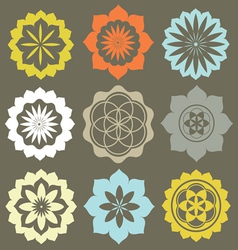 Floral esoteric elements vector image