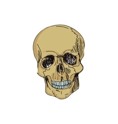Doodle skull Doodle skull vector image