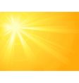 Sun light burst vector image