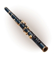 Classical flute vector image