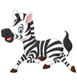Happy baby zebra running vector image