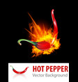 Burning Chili Pepper vector image
