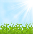 Spring background with green grass vector image