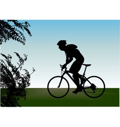 Bicycle vector image