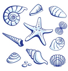 Starfishes cockleshells set vector image