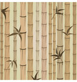 Bamboo background vector image