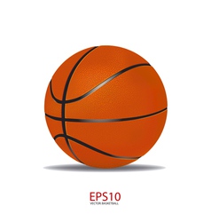 Basketball vector image