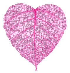 Red heart skeleton leaf vector image