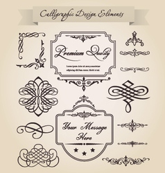 Calligraphic design elements vector image
