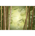 Bamboo background vector image