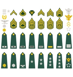 Insignia of the US Army vector image