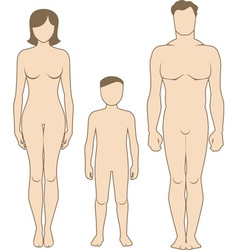 Human body vector image