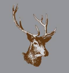 Deer head vector image