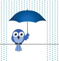 BIRD RAIN vector image