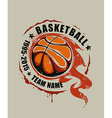 Basketball Art vector image