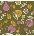 Summer fruit drawing vector image