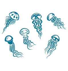 Danger jellyfishes set vector image